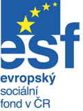 Logo efs